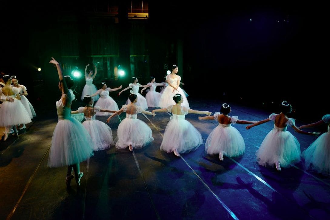 Danza Tricolore 12